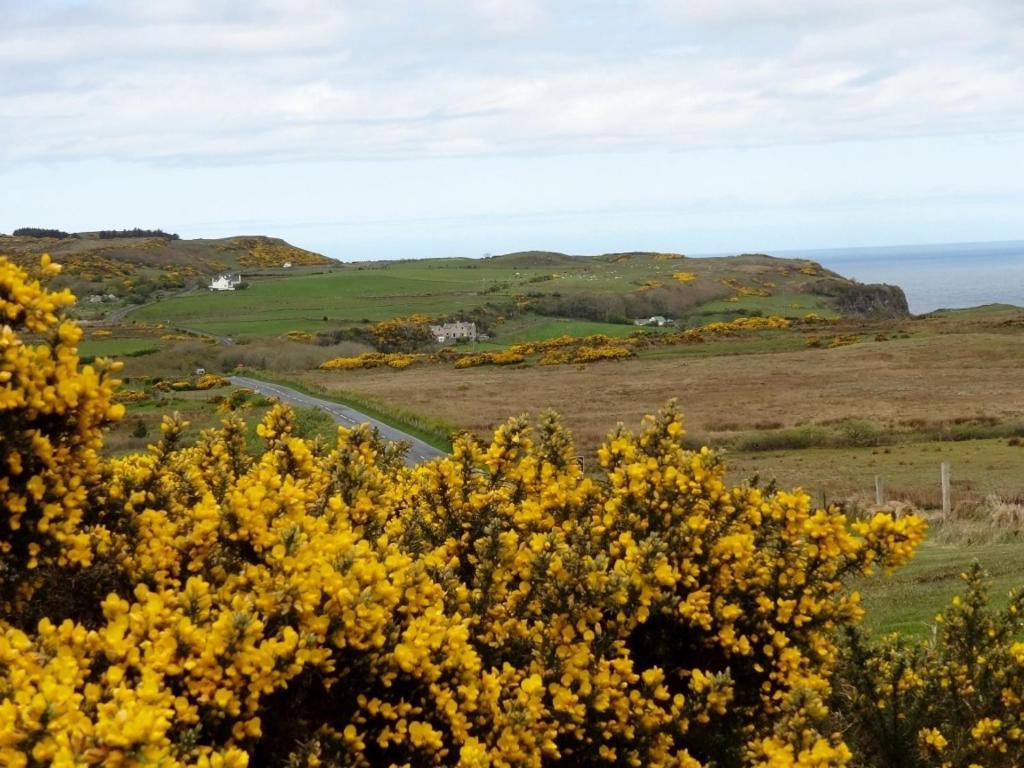 Glenmore House Ballycastle Eksteriør bilde